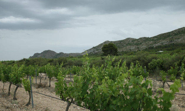 Alquiler a corto plazo - Villa -
Yecla