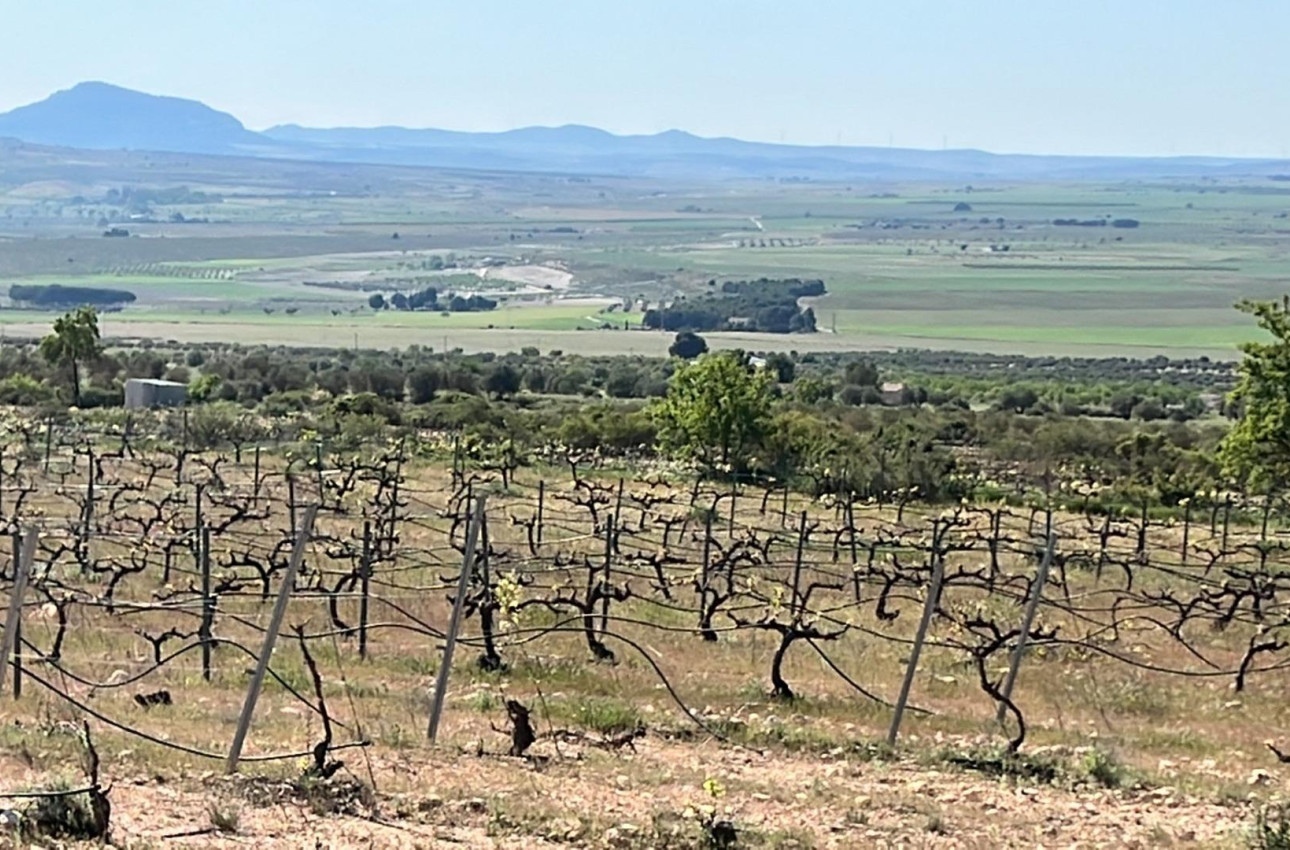 Alquiler a corto plazo - Villa -
Yecla