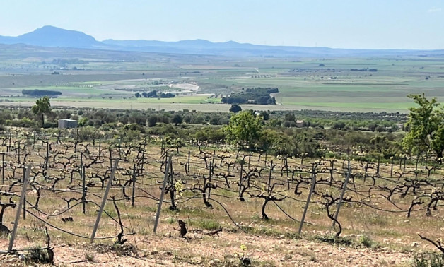 Alquiler a corto plazo - Villa -
Yecla