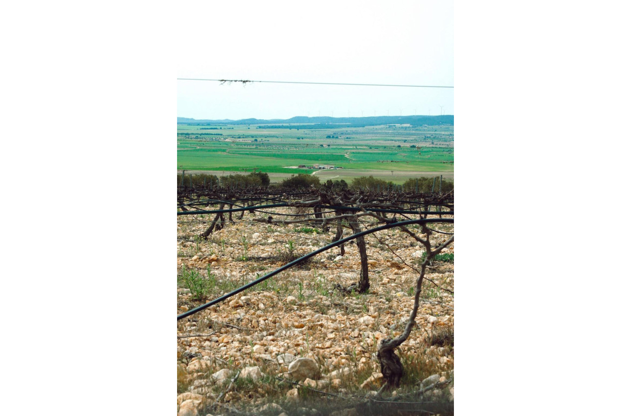 Short Term Rental - Villa -
Yecla