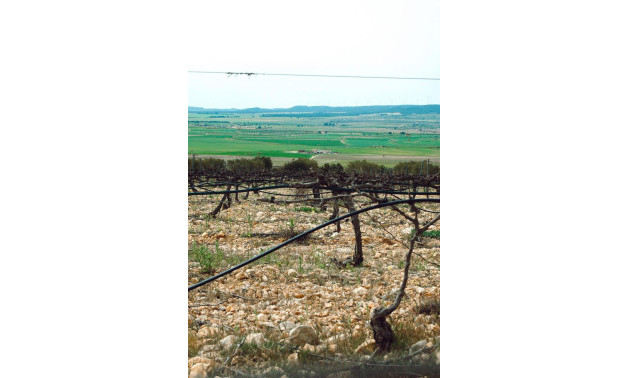 Краткосрочная аренда - Villa -
Yecla