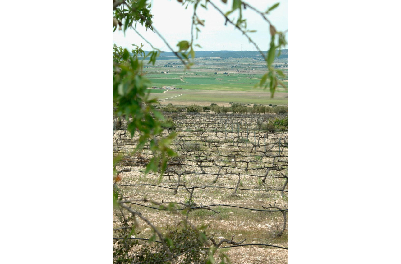 Краткосрочная аренда - Villa -
Yecla