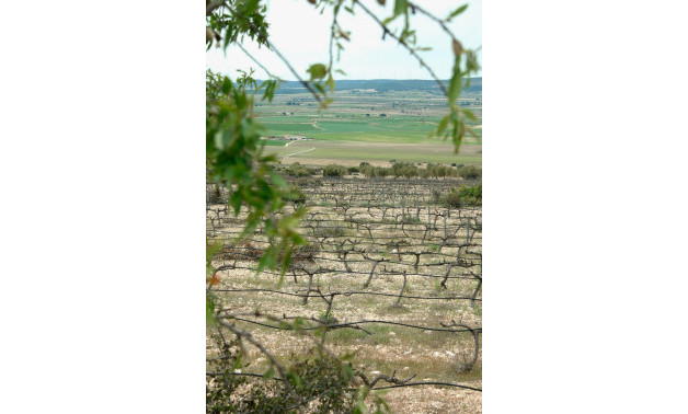 Краткосрочная аренда - Villa -
Yecla