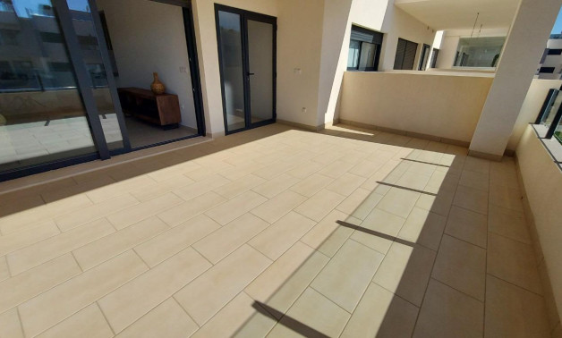 Short Term Rental - Apartment -
San Miguel de Salinas - Pueblo