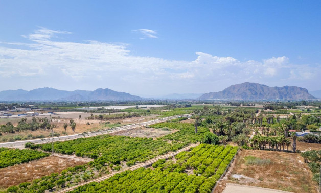 Short Term Rental - Apartment -
Jacarilla - pueblo