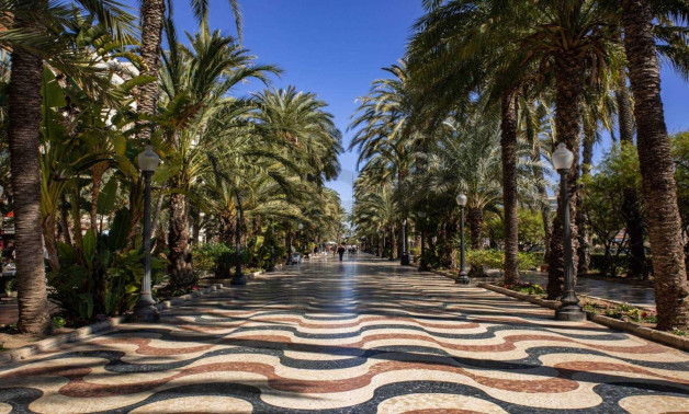 Short Term Rental - Apartment -
Alicante - Centro