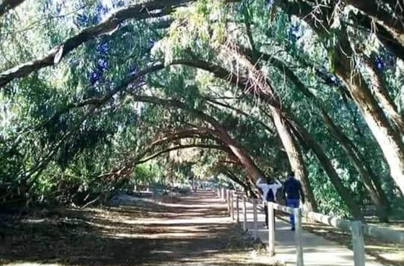 Short Term Rental - Bungalow -
Torrevieja - Altos del Sol