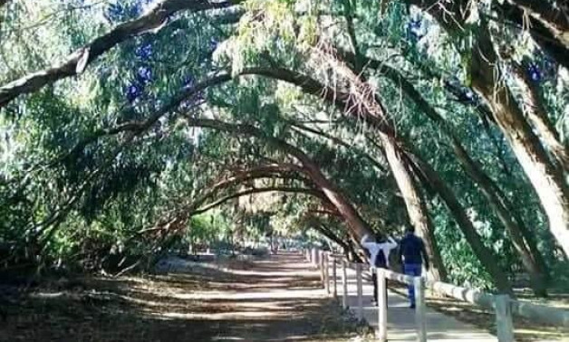 Short Term Rental - Bungalow -
Torrevieja - Altos del Sol