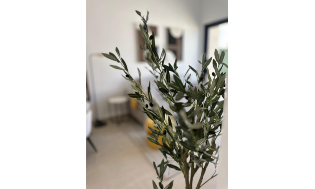 Short Term Rental - Bungalow -
San Fulgencio - Pueblo