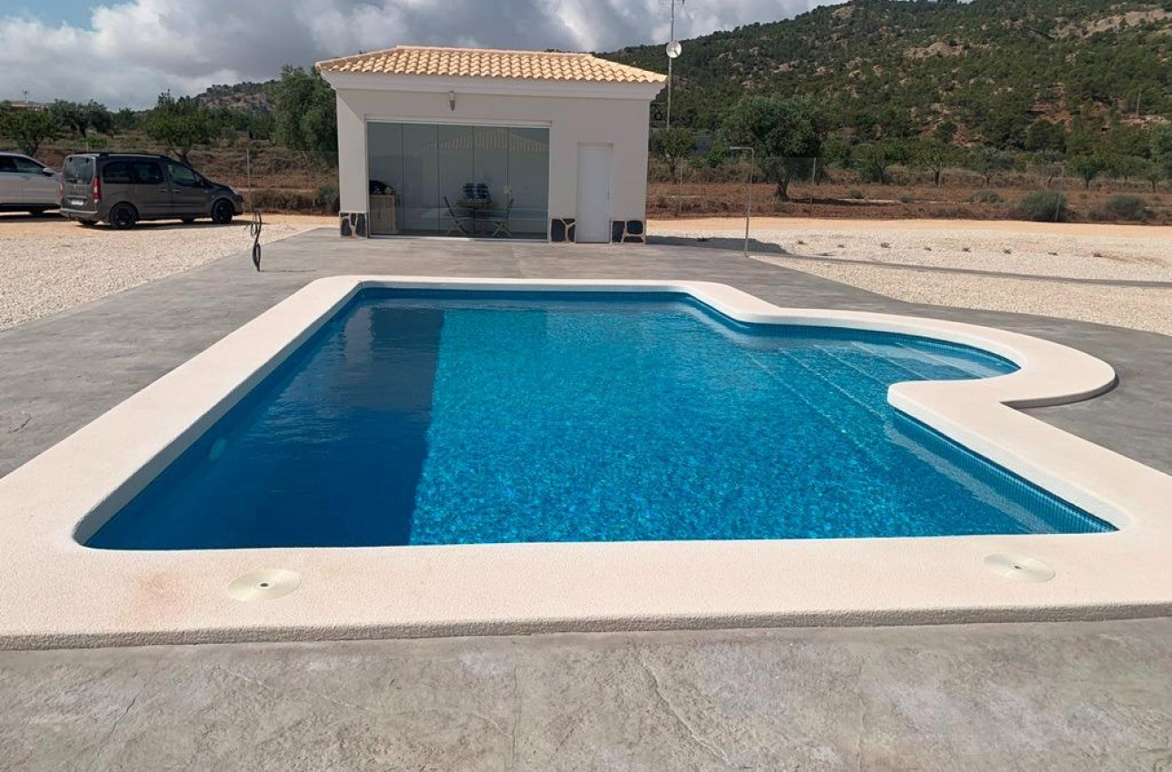 Short Term Rental - Villa -
Pinoso - Camino Del Prado
