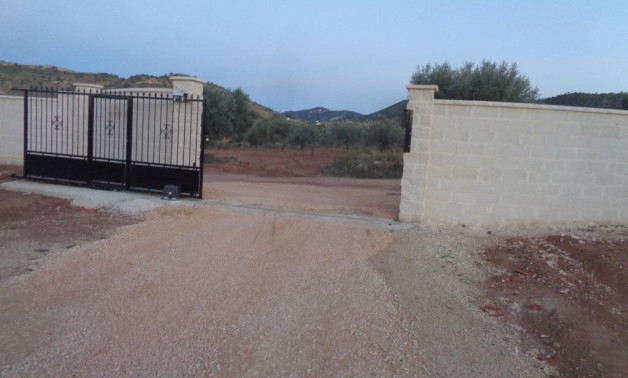 Short Term Rental - Villa -
Pinoso - Camino Del Prado