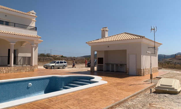 Short Term Rental - Villa -
Pinoso - Camino Del Prado