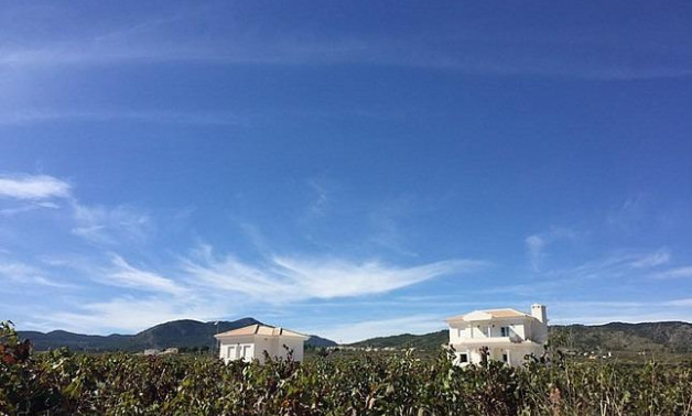 Short Term Rental - Villa -
Pinoso - Camino Del Prado