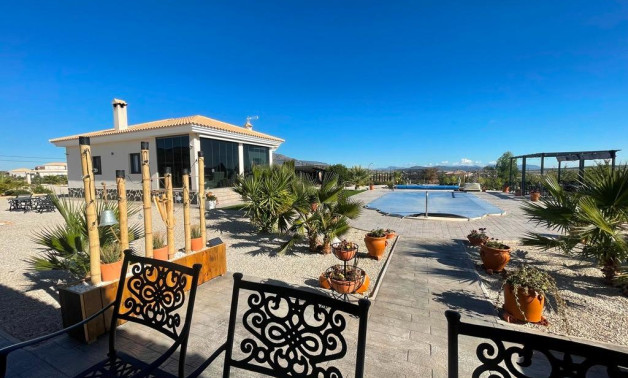 Short Term Rental - Villa -
Pinoso - Camino Del Prado