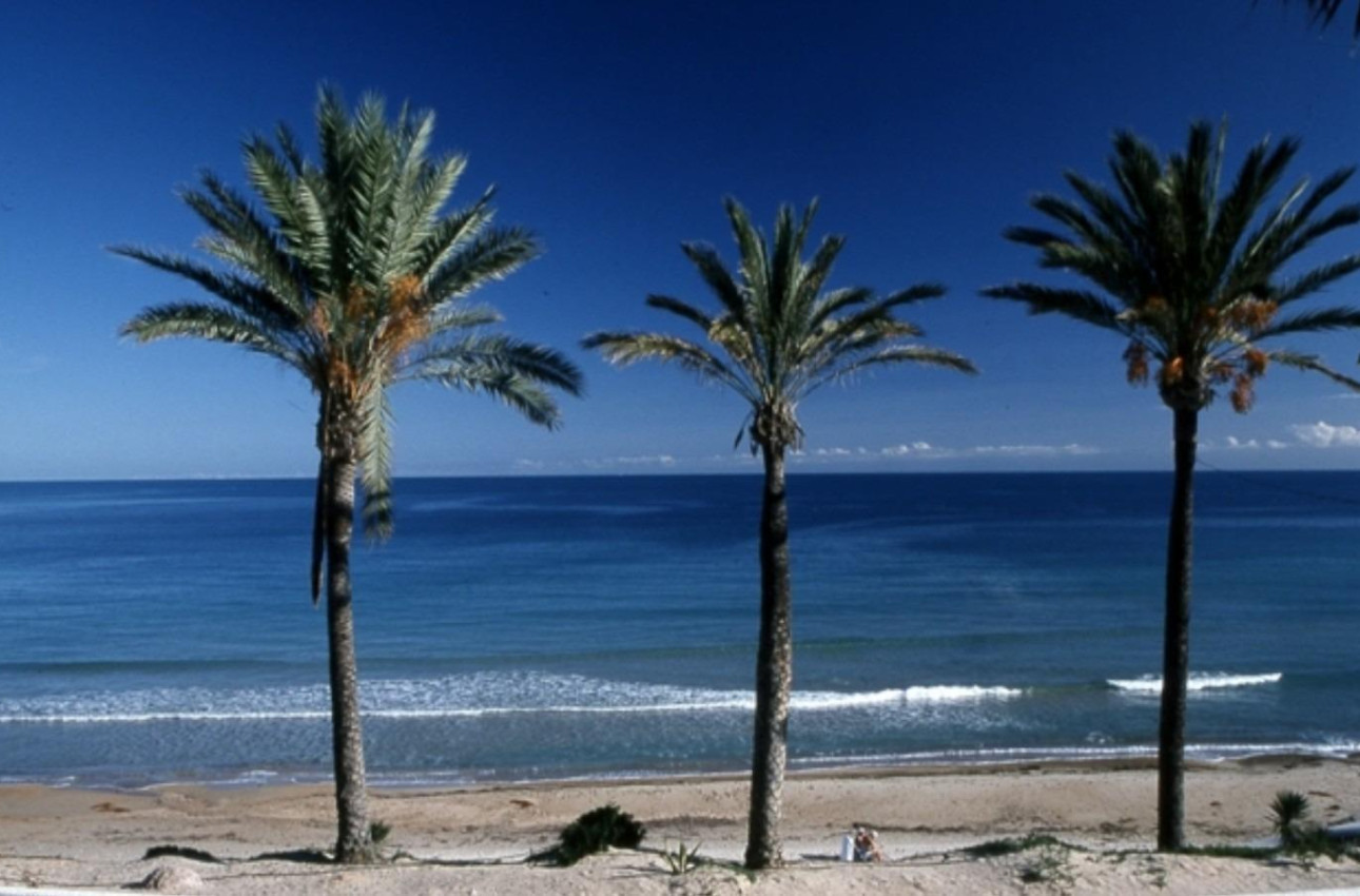 Краткосрочная аренда - Бунгало -
Pilar de la Horadada - Parque Ramon eugenio Escudero