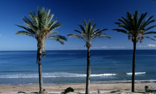 Краткосрочная аренда - Бунгало -
Pilar de la Horadada - Parque Ramon eugenio Escudero