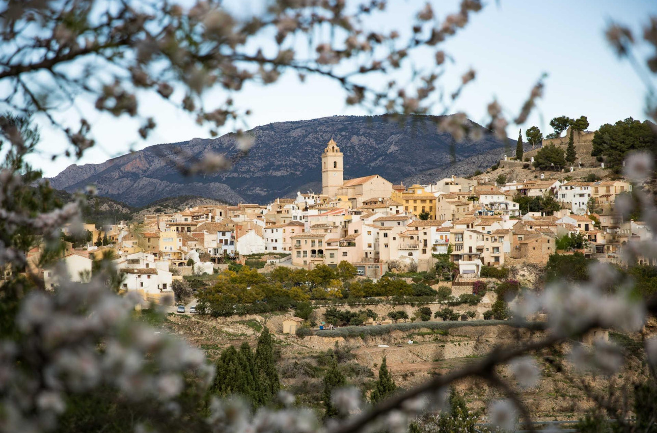 Short Term Rental - Villa -
Polop - Polop Hills