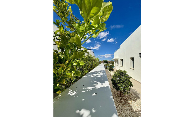 Alquiler a corto plazo - Villa -
Benijofar - Pueblo