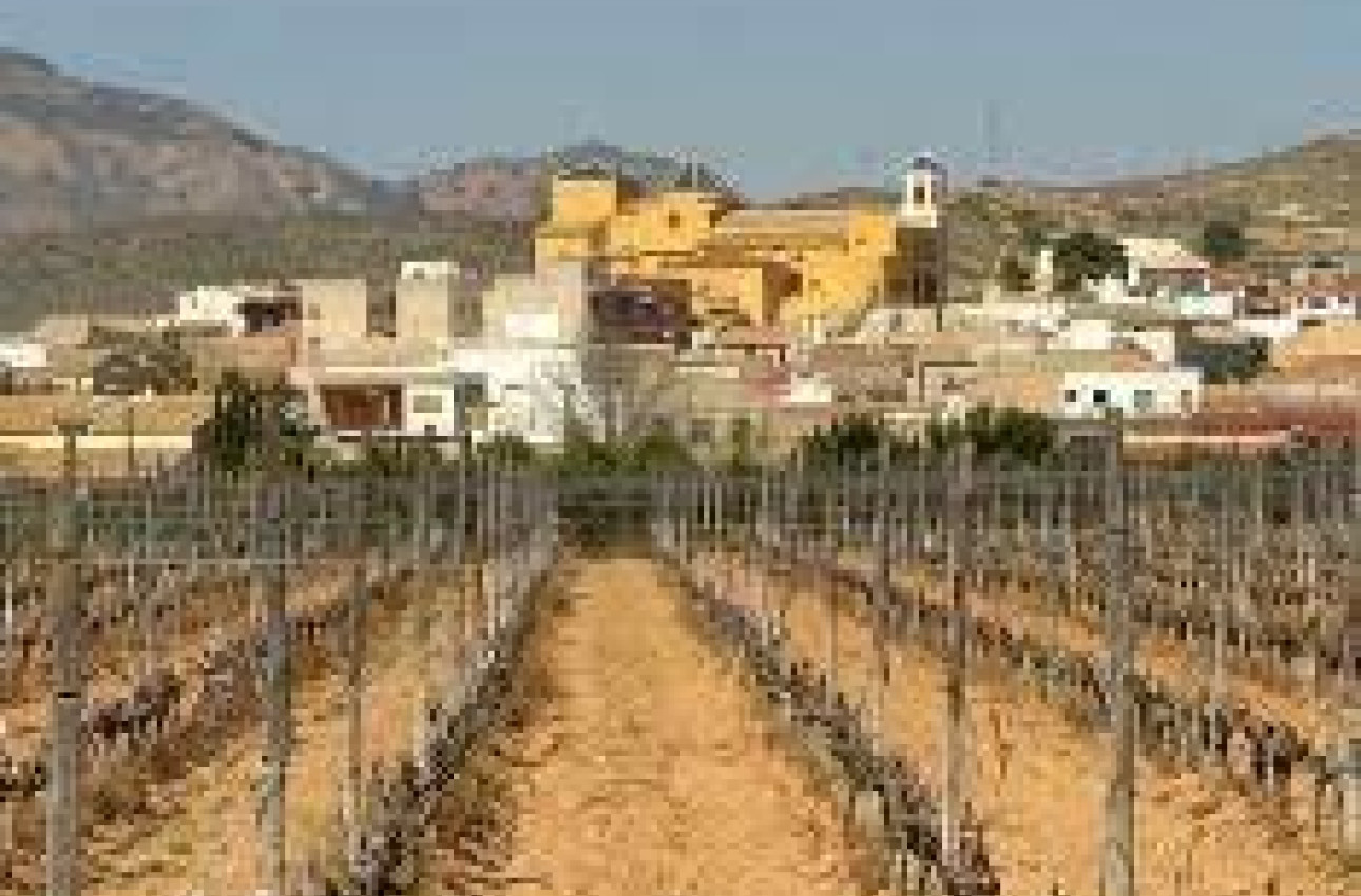 Short Term Rental - Bungalow -
Hondón de las Nieves - El Salero