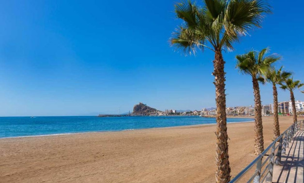 Short Term Rental - Penthouse -
Aguilas - Playa del Hornillo
