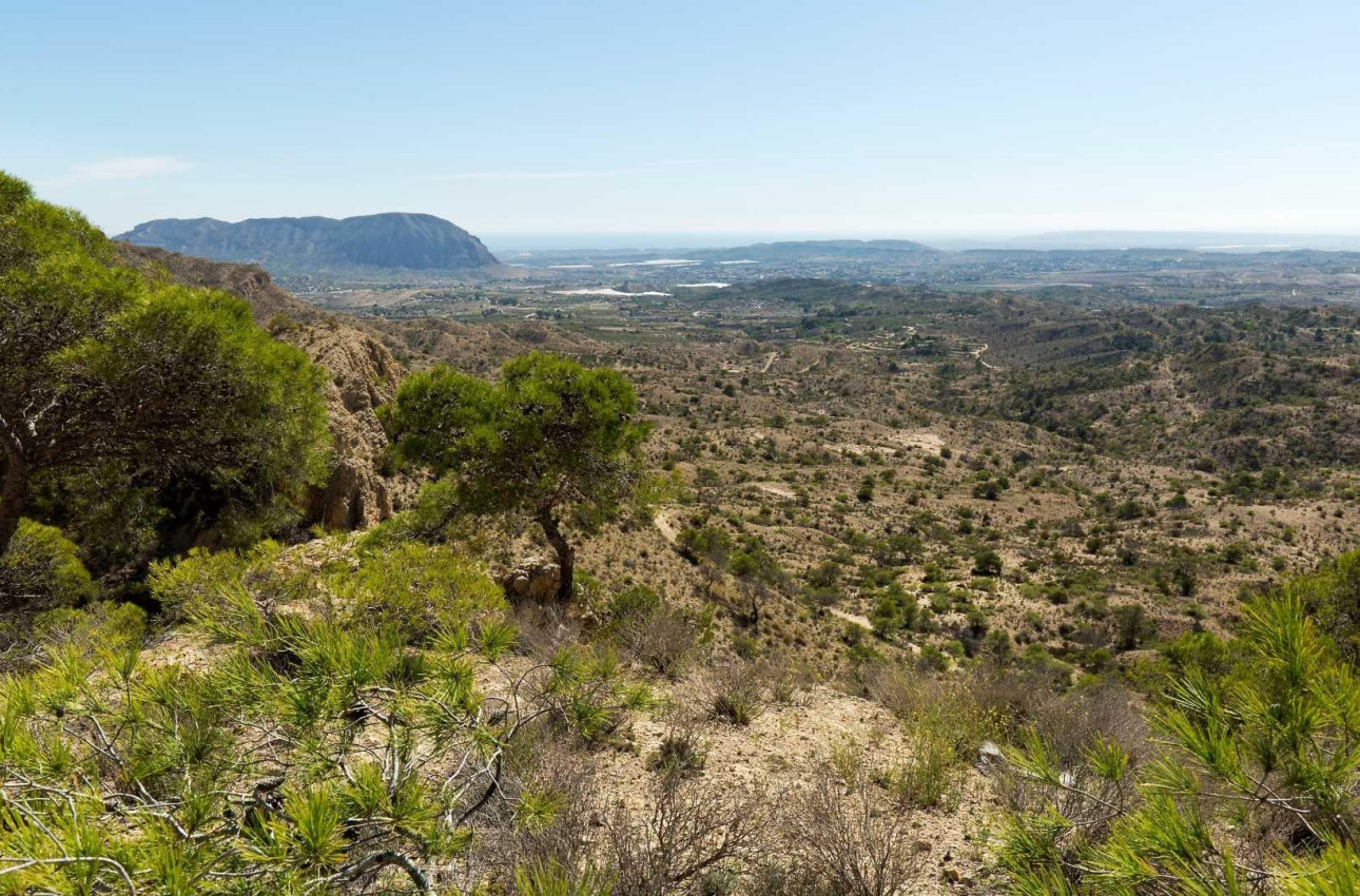 Short Term Rental - Villa -
Aspe - Centro