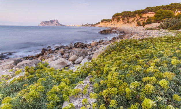 Short Term Rental - Villa -
Benissa - Cala Advocat