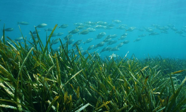 Alquiler a corto plazo - Villa -
Benissa - Racó Del Galeno