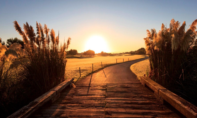 Short Term Rental - Villa -
Pilar de la Horadada - Lo Romero Golf