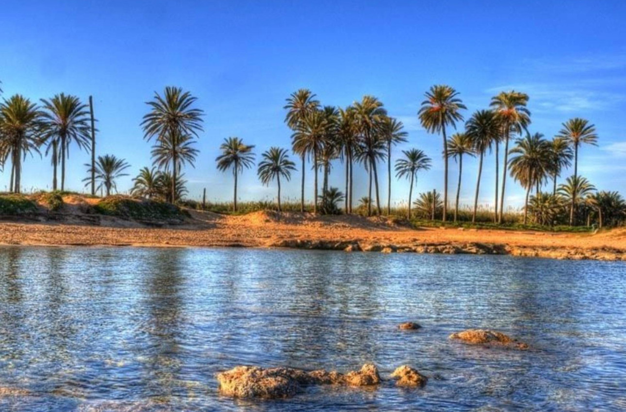 Short Term Rental - Penthouse -
Torrevieja - Playa de El Cura