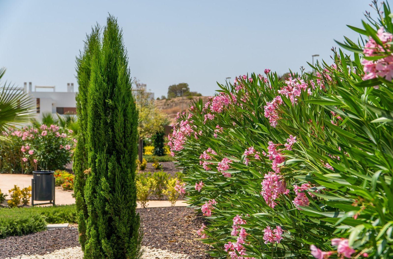 Краткосрочная аренда - Top Floor Bungalow -
Orihuela - Vistabella Golf