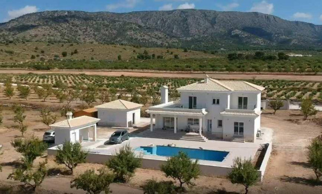 Short Term Rental - Villa -
Pinoso - Camino Del Prado