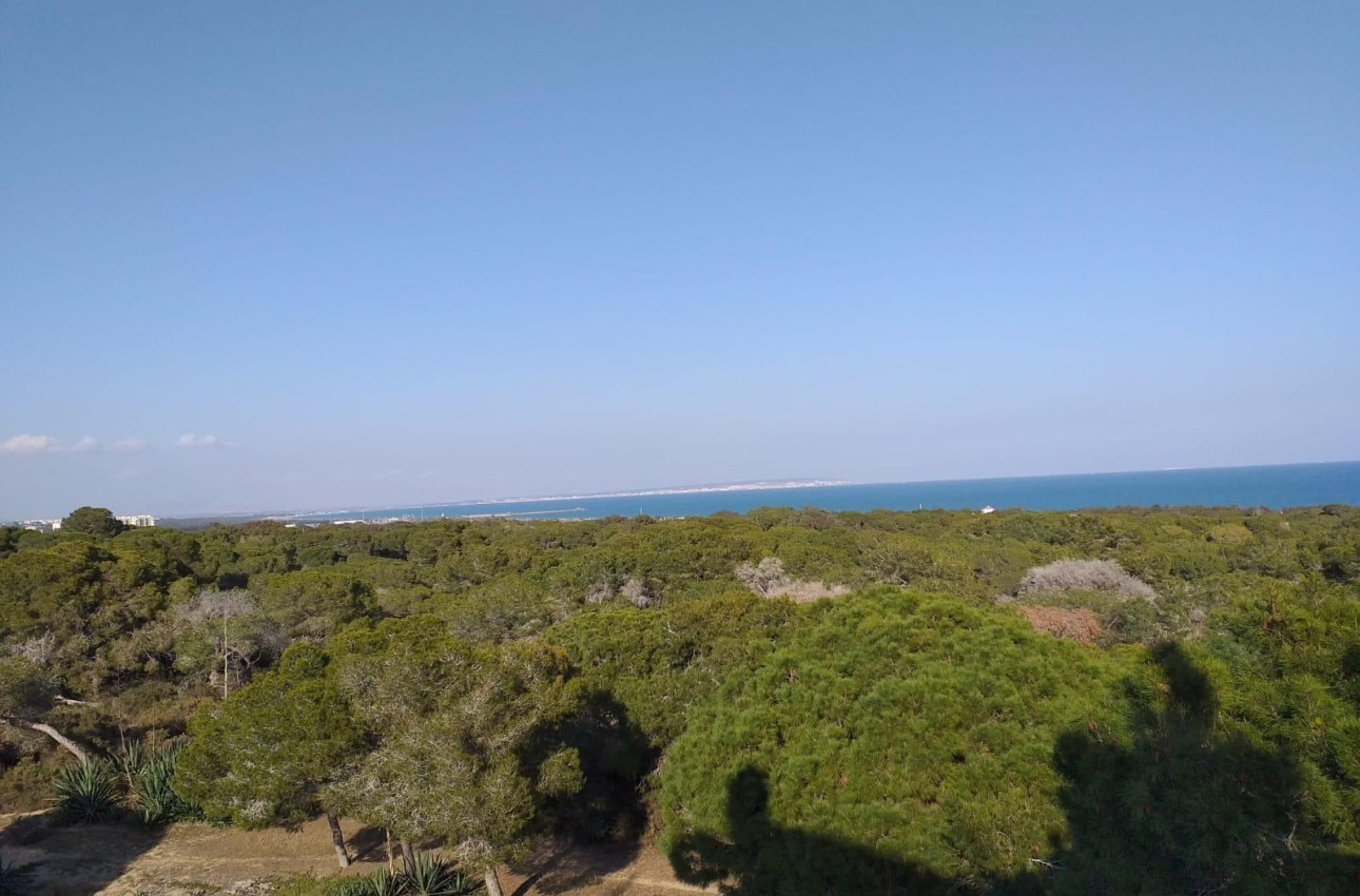 Alquiler a corto plazo - Ground floor apartment -
Guardamar del Segura - Pueblo