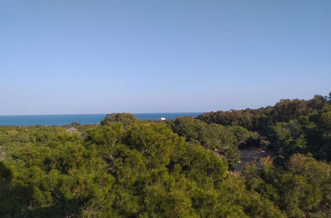 Alquiler a corto plazo - Ground floor apartment -
Guardamar del Segura - Pueblo