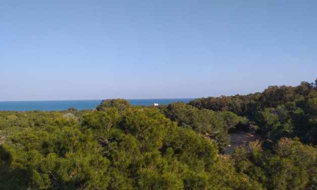 Alquiler a corto plazo - Ground floor apartment -
Guardamar del Segura - Pueblo