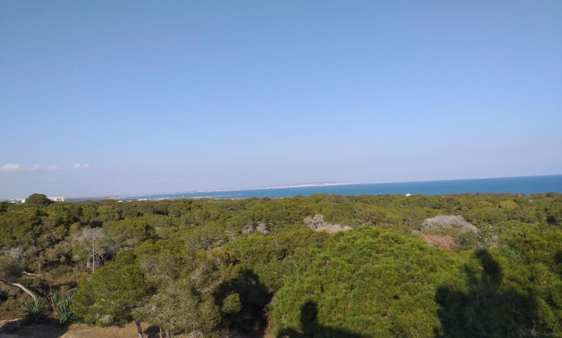 Alquiler a corto plazo - Apartment -
Guardamar del Segura - Pueblo