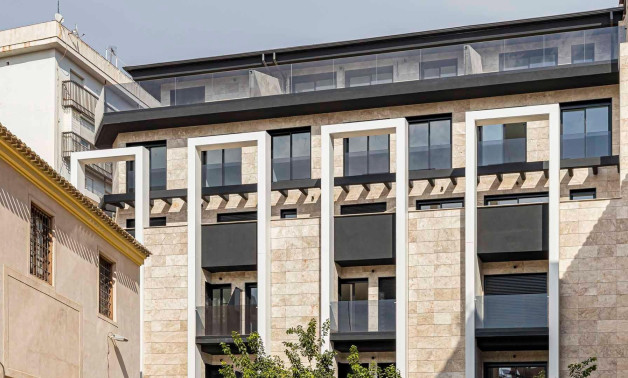 Obra nueva - Ático -
Murcia - Centro