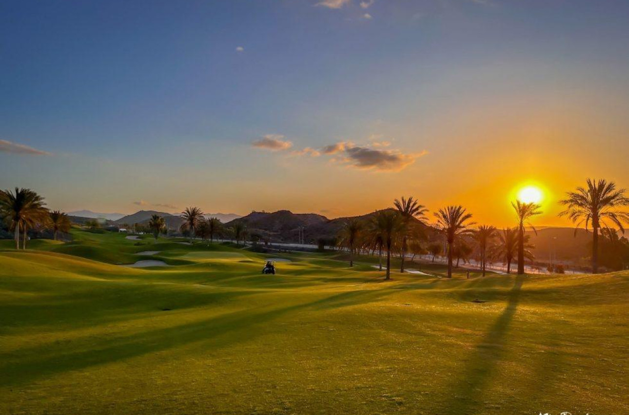 Obra nueva - Ático -
Pulpi - Aguilón Golf