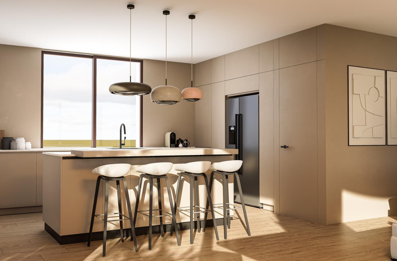 New Build - Villa -
Pinoso - Lel