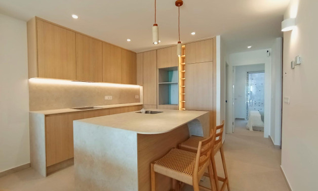 New Build - Penthouse -
Benijofar - Pueblo
