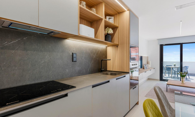Obra nueva - Apartment -
Guardamar del Segura - El Raso