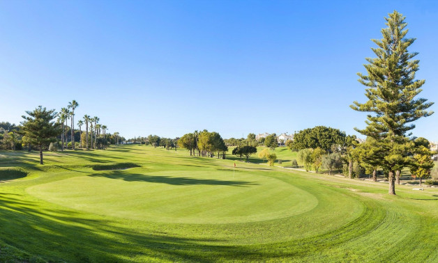 Obra nueva - Ático -
Orihuela Costa - Lomas de Campoamor
