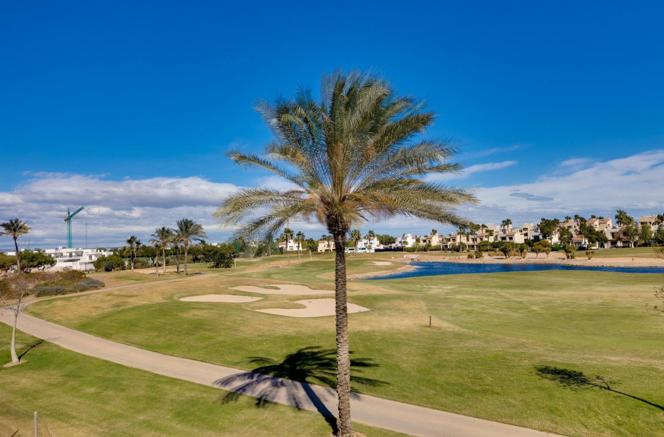 Obra nueva - Villa -
Pilar de la Horadada - Roda Golf