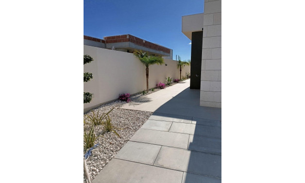 Obra nueva - Villa -
Pilar de la Horadada - Roda Golf