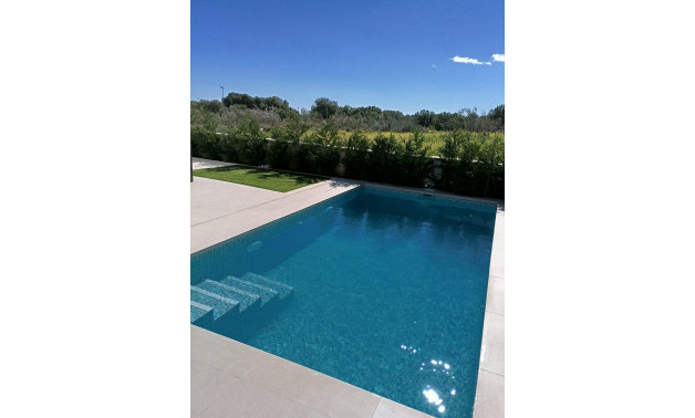 Obra nueva - Villa -
Pilar de la Horadada - Roda Golf