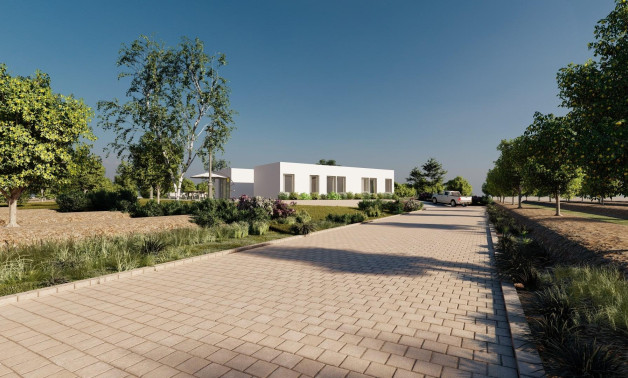 Новое здание - Villa -
Benejúzar - alta
