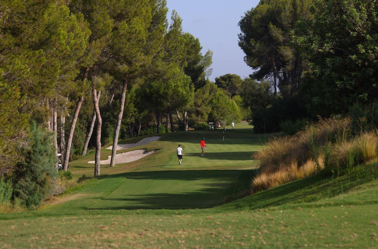 Obra nueva - Villa -
Orihuela - Las Colinas Golf