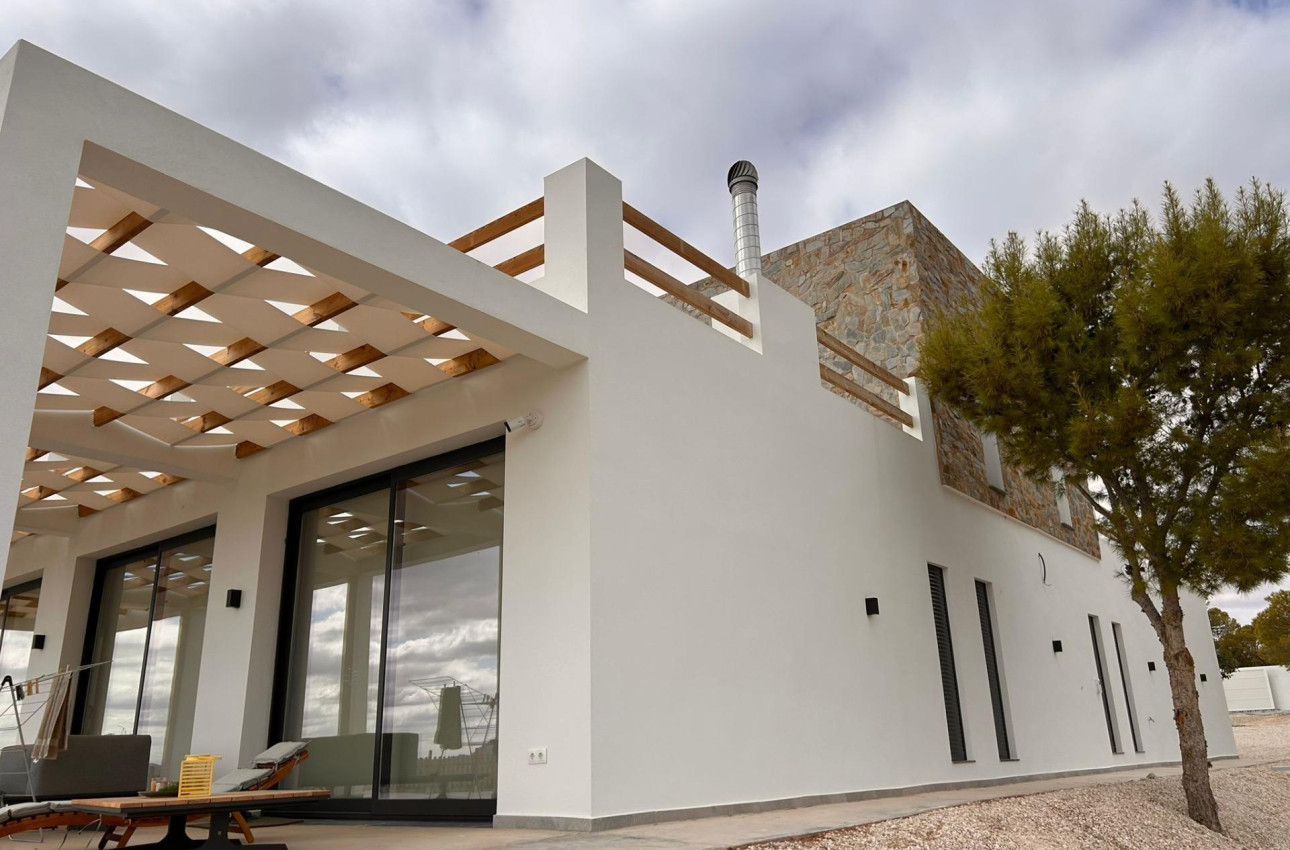 Obra nueva - Villa -
Pinoso - Casas Pastor