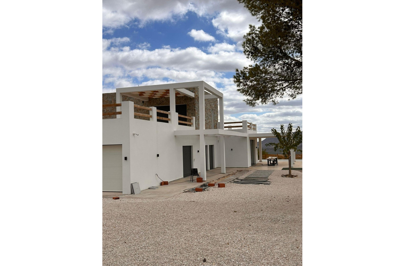Obra nueva - Villa -
Pinoso - Casas Pastor