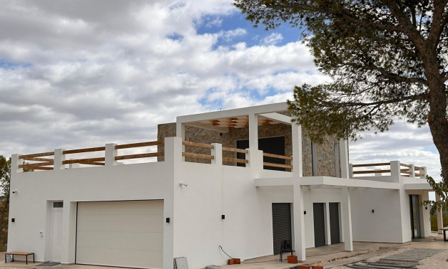 Obra nueva - Villa -
Pinoso - Casas Pastor