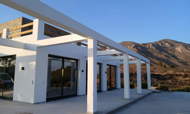 Obra nueva - Villa -
Pinoso - Casas Pastor